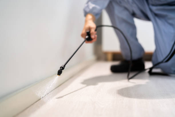 Licensed Rodent Control service in Putnam County County, IN - Nex Pest Control